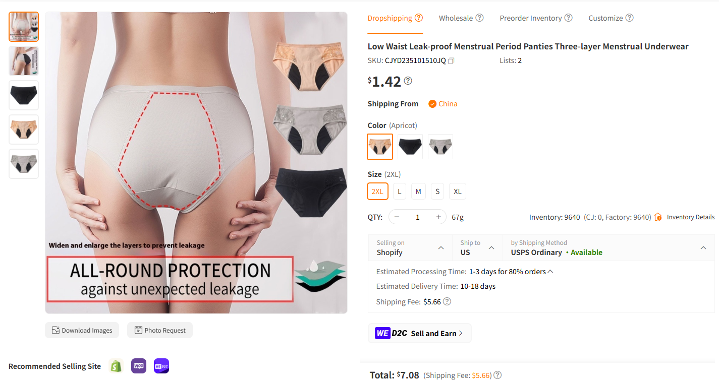 Period Panties (Menstrual Underwear)